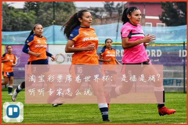 淘宝彩票席卷世界杯：是福是祸？听听专家怎么说