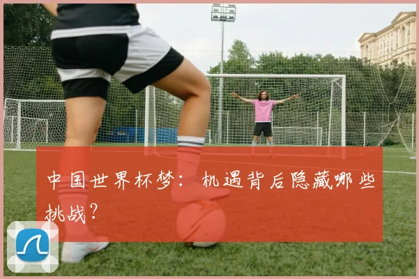 中国世界杯梦:机遇背后隐藏哪些挑战?