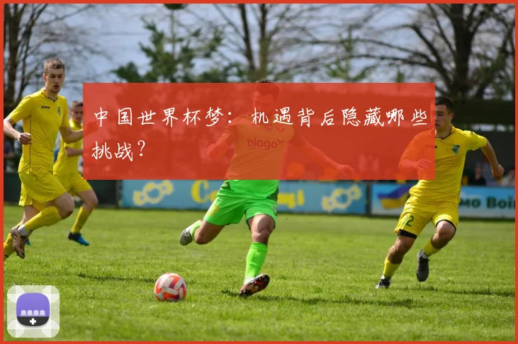 中国世界杯梦:机遇背后隐藏哪些挑战?