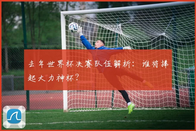 去年世界杯决赛队伍解析：谁将捧起大力神杯？