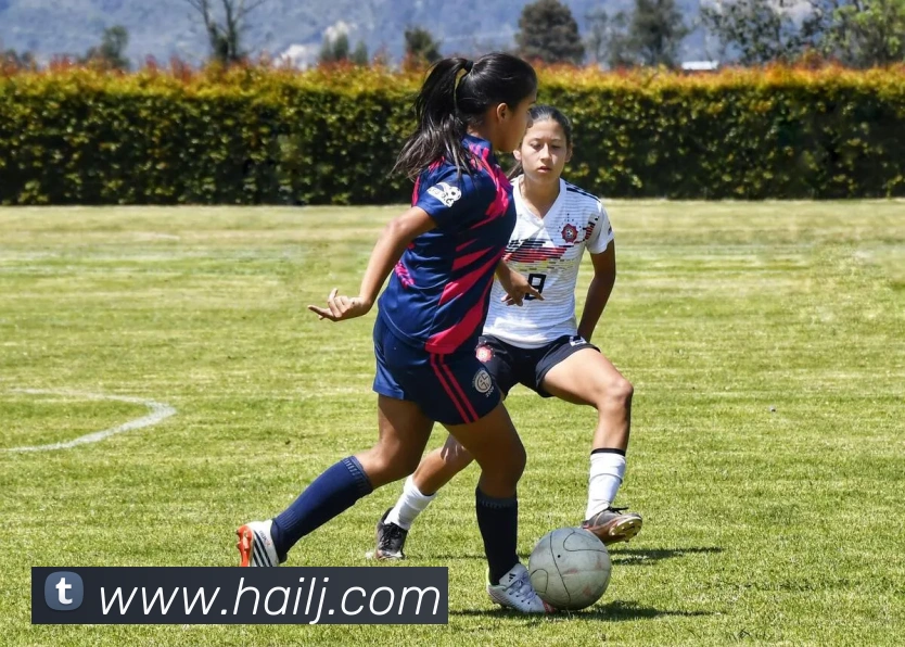 压球首页品牌故事